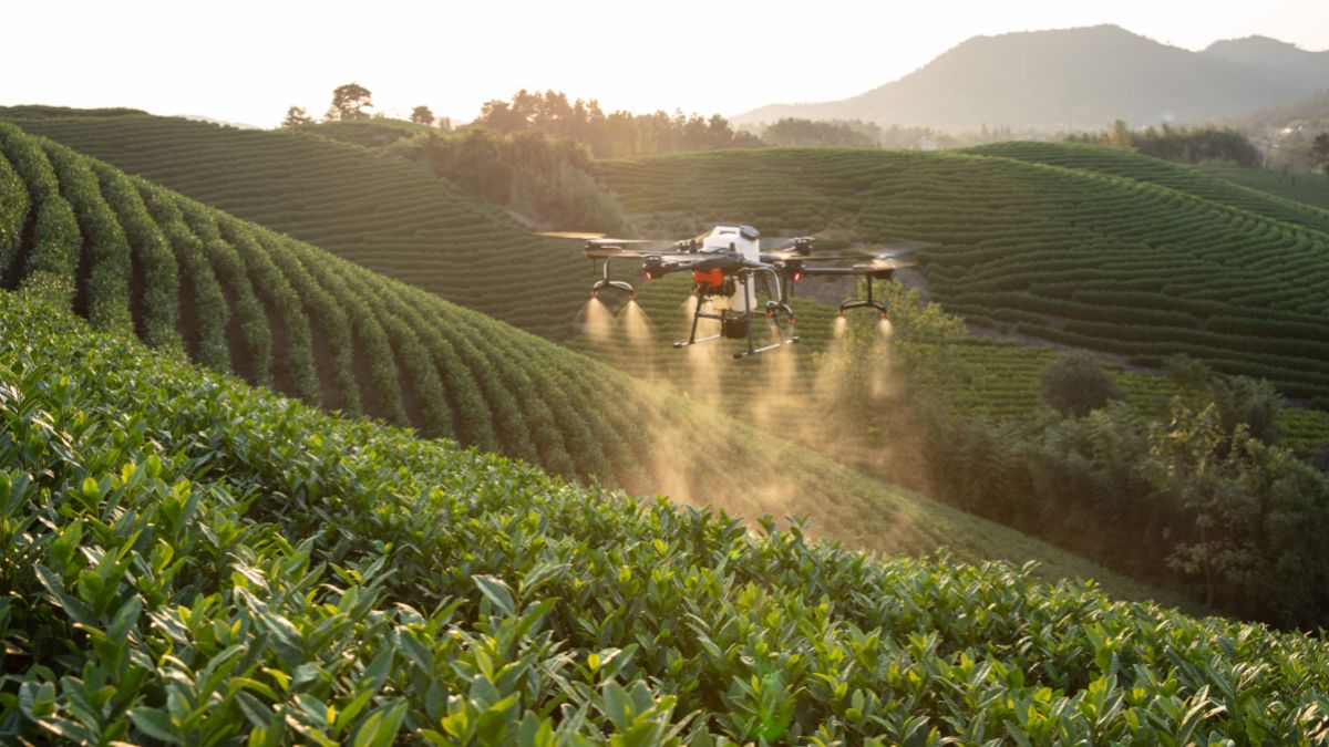 Is Precision Agriculture the Future of Food Security?