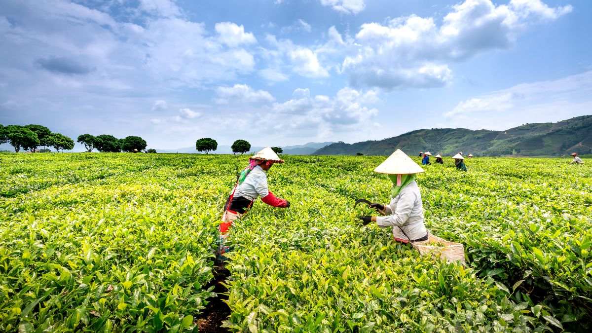 Why Sustainable Agriculture Is More Than Just a Trend in 2025?