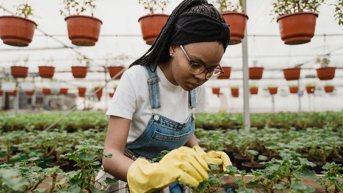 Secrets to Successful Horticulture in Tropical Climates