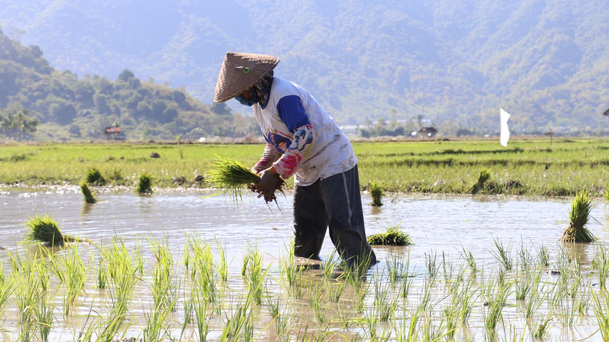How Fish Farming and Crop Production Can Work Together?