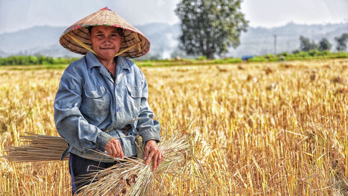 Agroforestry vs. Traditional Farming: Which One Wins in 2025?